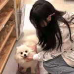 腾讯点兵三国手游下载